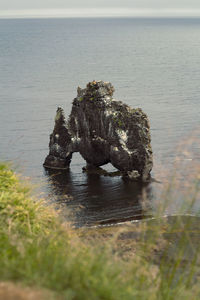 Hvitserkur cliff in sea landscape photo