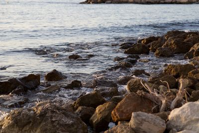 Surface level of rocks at sea shore