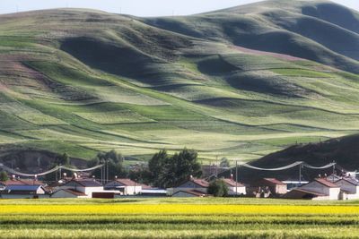 Scenic view of agricultural field by houses and mountain