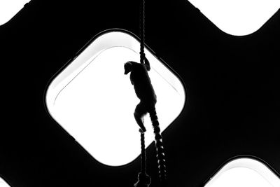 Low angle view of silhouette man on rope against sky