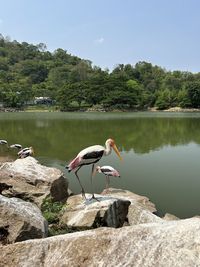 Rear view of woman standing on rock against sky