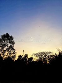 Low angle view of silhouette trees against sky during sunset