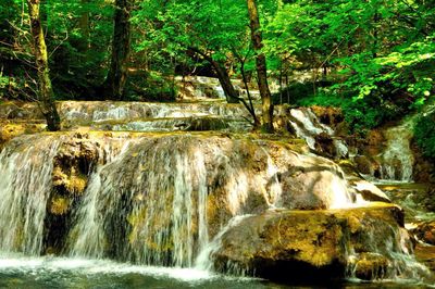 Waterfall in forest