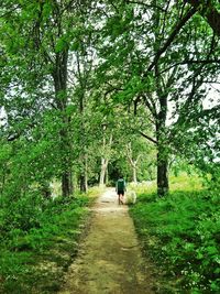 Full length of people walking on footpath