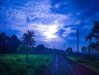 Road amidst trees on field against sky during sunset