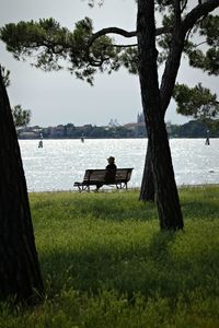 People on tree by sea against sky