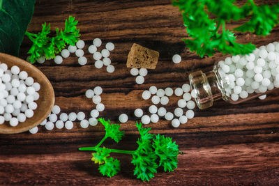 Close-up of herbs and homeopathic medicine in tray on table