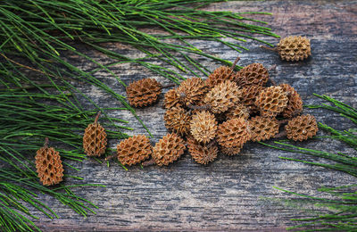 High angle view of dried plant on table