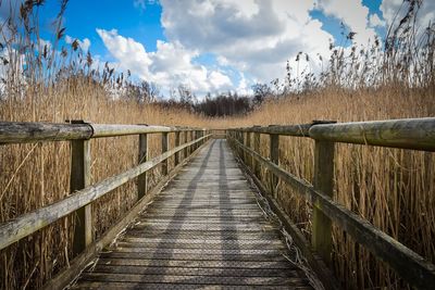 View of footbridge along plants