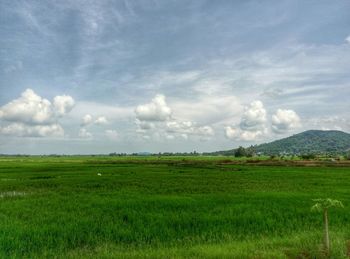 Scenic view of grassy field against cloudy sky