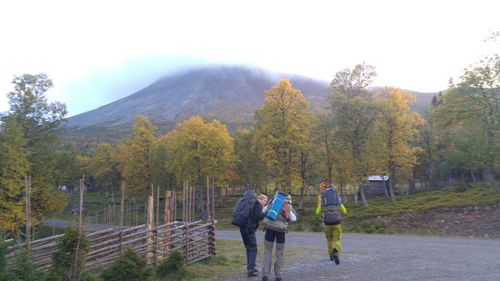 Rear view of man walking on mountain