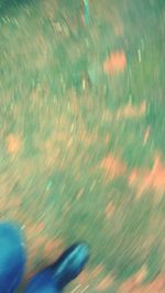 Defocused image of illuminated lights