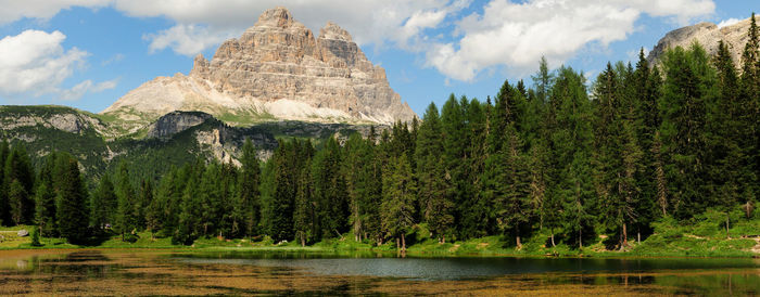 Panoramic view of lake amidst trees in forest against sky