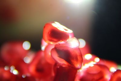 Close-up of hand holding illuminated lights