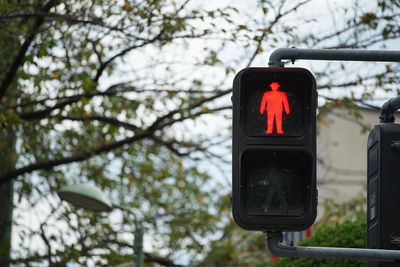 Pedestrian signals in japan