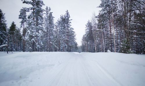 Snow covered road amidst trees against sky