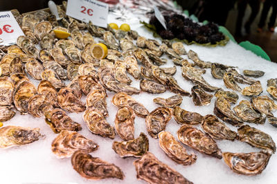 Close-up of fish for sale in market