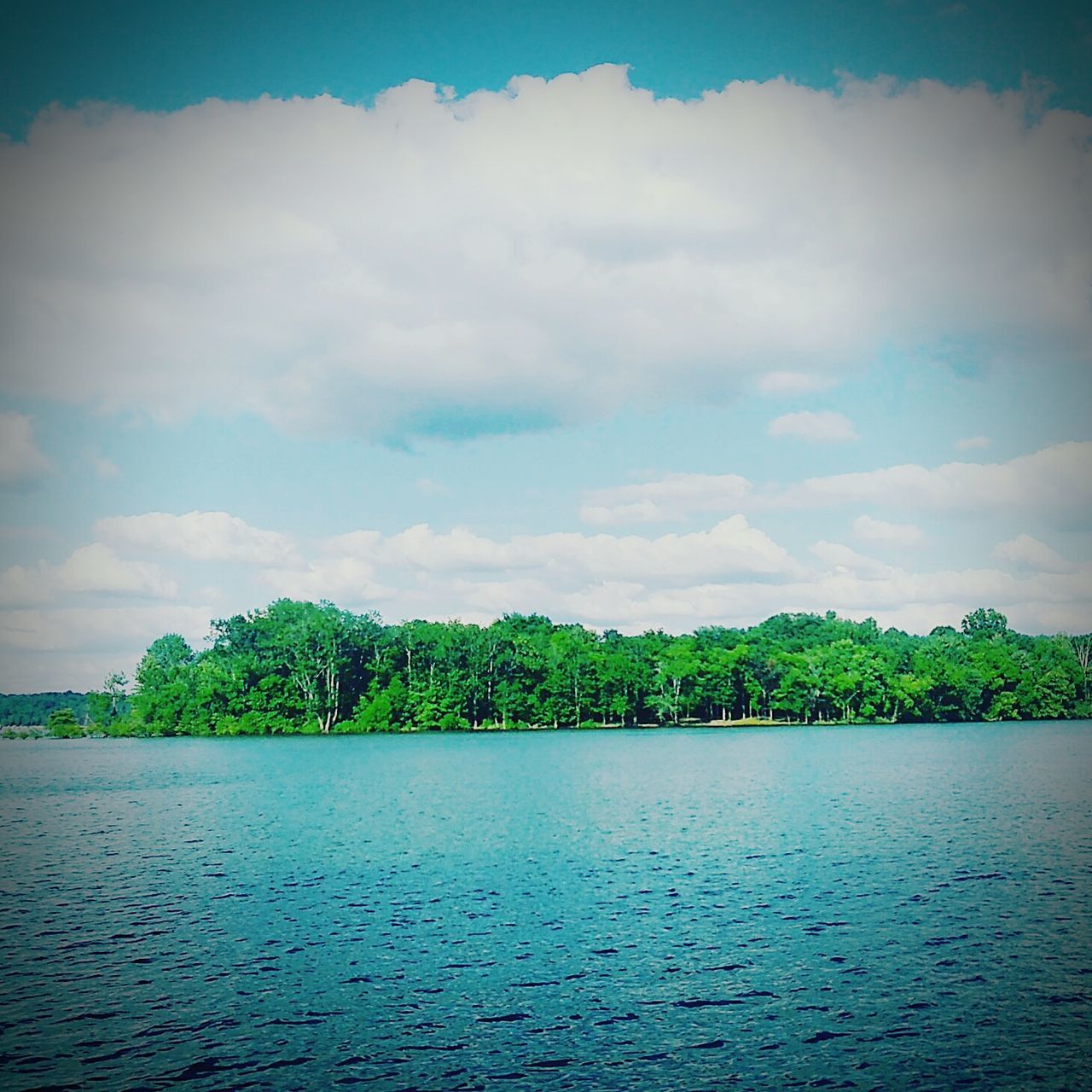 sky, cloud - sky, tree, nature, water, beauty in nature, no people, outdoors, lake, tranquil scene, scenics, tranquility, day, growth