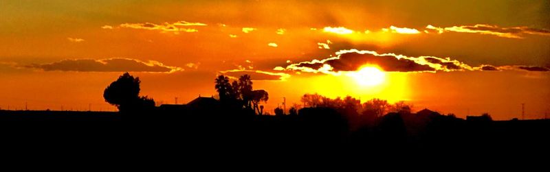 Silhouette trees on field against orange sky