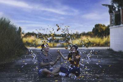 View of birds in water