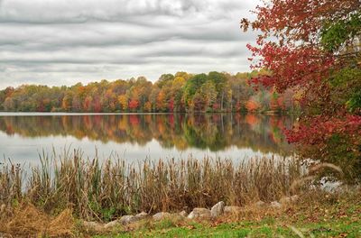 Scenic view of lake by trees during autumn