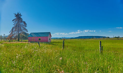 Scenic view of field against blue sky