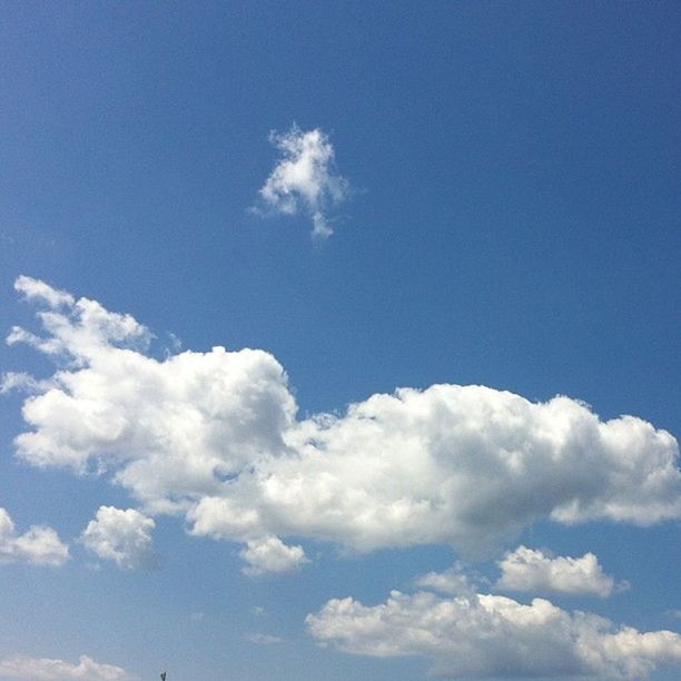 blue, sky, low angle view, beauty in nature, tranquility, scenics, sky only, cloud - sky, nature, tranquil scene, white color, cloud, cloudscape, idyllic, white, day, copy space, backgrounds, outdoors, fluffy