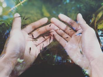 Cropped hands by fishes in lake