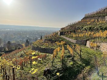 High angle view of a winery against sky