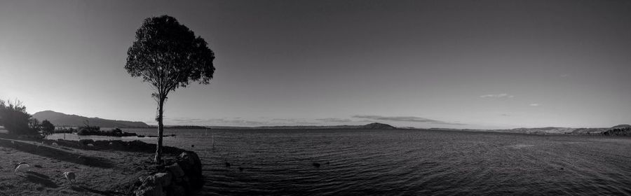 Panoramic view of lake rotorua against sky