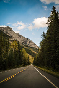 Road amidst trees against sky - icefields parkway, canada