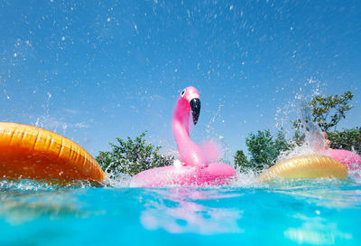 Man swimming in pool