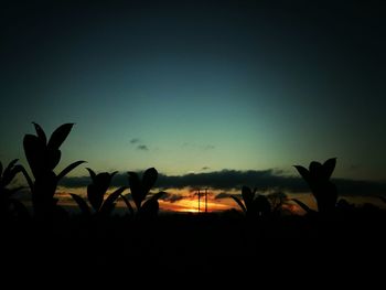 Silhouette of landscape at sunset