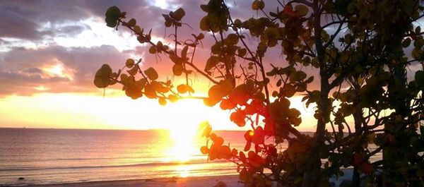 Scenic view of sea at sunset