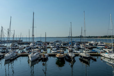 Sailboats moored in harbor