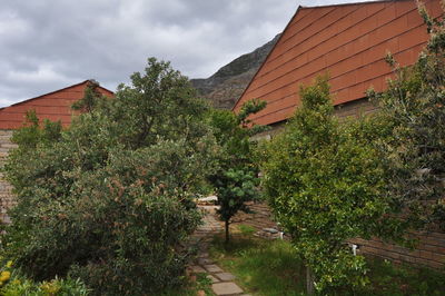 Trees and houses against sky