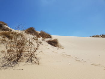 Scenic view of desert against clear blue sky