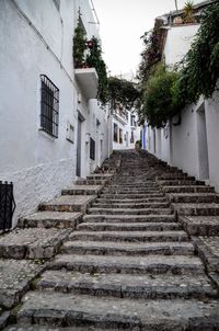 Steps amidst trees against sky