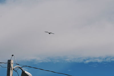 Low angle view of birds perched against clear sky