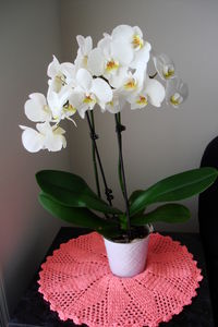 Close-up of white flower vase on table