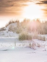 Scenic view of  sand dune during sunset