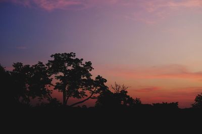 Low angle view of silhouette trees against sky at sunset
