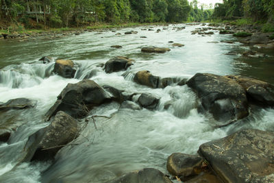 Stream flowing through rocks in forest