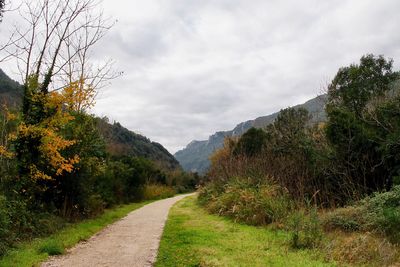 Dirt road along trees and plants against sky
