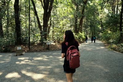 Rear view of woman walking on road amidst trees
