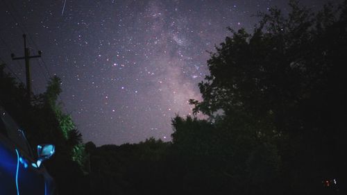 Low angle view of silhouette trees against sky at night