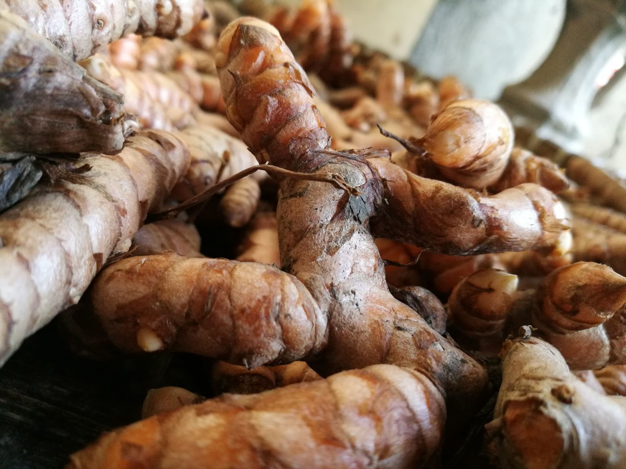 CLOSE-UP OF MUSHROOM