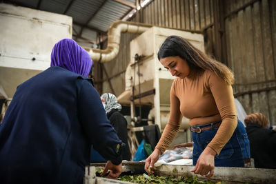 Women at work. female workers cleaning laurel leaves in an herb factory.