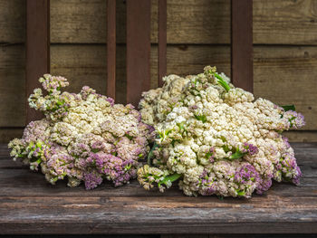 Cauliflower on a table standing on the porch of a country house close-up