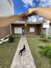 Dog on street against building